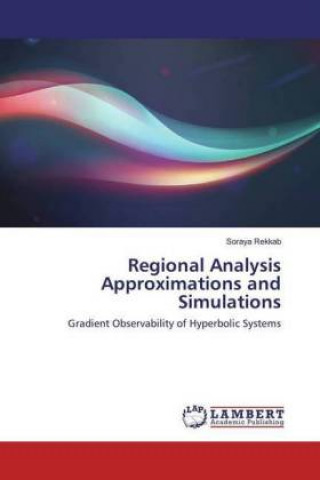 Buch Regional Analysis Approximations and Simulations Soraya Rekkab