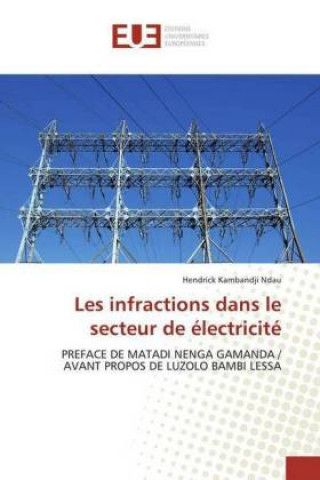 Kniha Les Infractions dans le secteur de L'Electricité Hendrick Kambandji Ndau Etsa