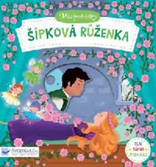 Book Šípková Růženka Dan Taylor
