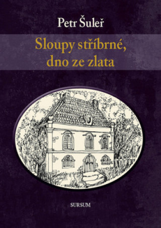 Könyv Sloupy stříbrné, dno ze zlata Petr Šuleř