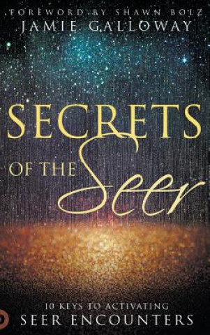 Kniha Secrets of the Seer JAMIE GALLOWAY