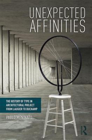 Boek Unexpected Affinities Pablo Meninato