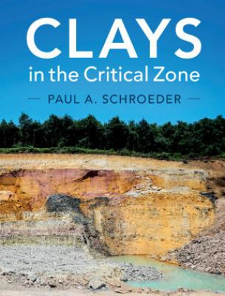 Книга Clays in the Critical Zone Paul A. (University of Georgia) Schroeder