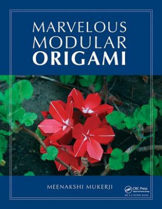 Kniha Marvelous Modular Origami MUKERJI