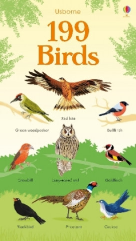 Kniha 199 Birds HANNAH WATSON