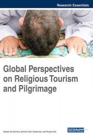 Kniha Global Perspectives on Religious Tourism and Pilgrimage David John Edwards