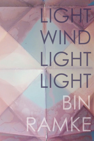 Buch LIGHT WIND LIGHT LIGHT Bin Ramke