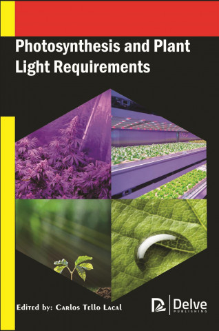 Könyv Photosynthesis and Plant Light Requirements 