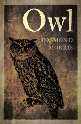 Kniha Owl Morris Desmond