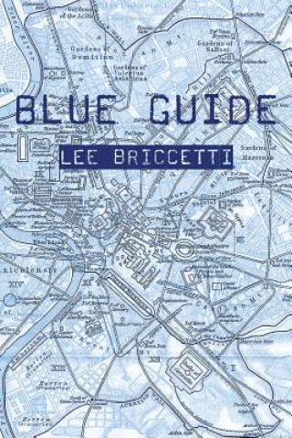 Book Blue Guide Lee Briccetti
