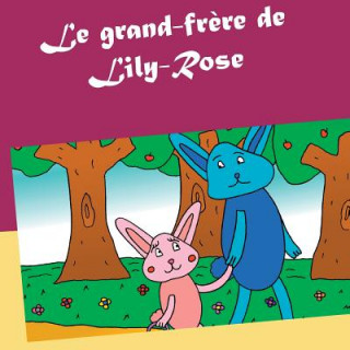 Книга grand-frere de Lily-Rose VAL RIE GASNIER