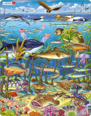 Game/Toy Puzzle MAXI - Zvířata v moři/60 dílků 