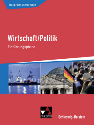 Buch Kolleg Politik und Wirtschaft S-H Einführungsphase Janika Apitz