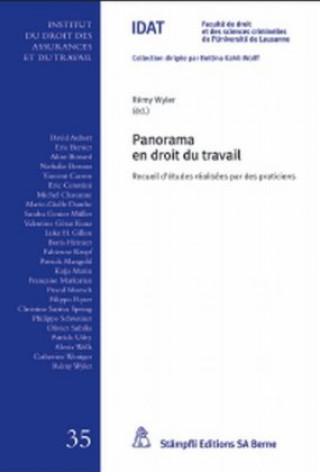 Könyv Panorama en droit du travail Rémy Wyler