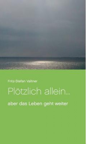 Könyv Ploetzlich allein ... Fritz-Stefan Valtner