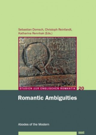 Könyv Romantic Ambiguities Sebastian Domsch