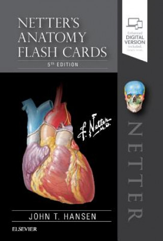 Materiale tipărite Netter's Anatomy Flash Cards John T. Hansen