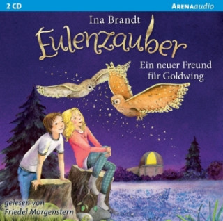 Audio Eulenzauber 08. Ein neuer Freund für Goldwing Ina Brandt