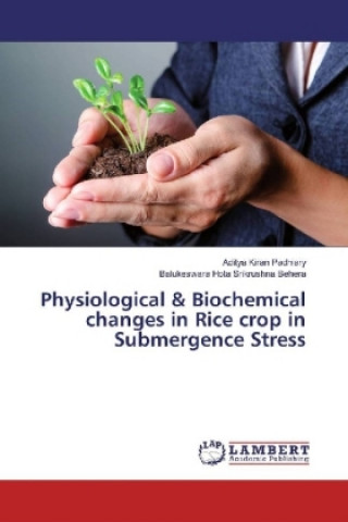 Kniha Physiological & Biochemical changes in Rice crop in Submergence Stress Aditya Kiran Padhiary