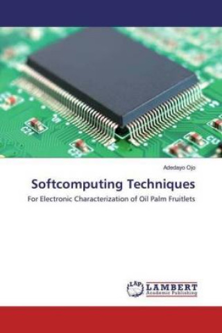 Buch Softcomputing Techniques Adedayo Ojo