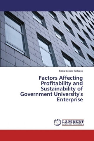 Kniha Factors Affecting Profitability and Sustainability of Government University's Enterprise Sirika Bekele Terfassa