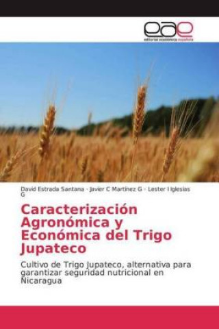 Könyv Caracterización Agronómica y Económica del Trigo Jupateco David Estrada Santana