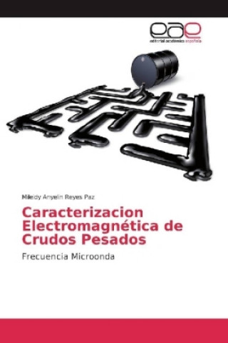 Livre Caracterizacion Electromagnética de Crudos Pesados Mileidy Anyelin Reyes Paz