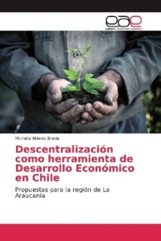 Kniha Descentralizacion como herramienta de Desarrollo Economico en Chile Michelle Mieres Brevis