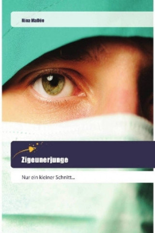 Knjiga Zigeunerjunge Nina Mallée
