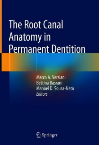 Kniha Root Canal Anatomy in Permanent Dentition Marco A. Versiani