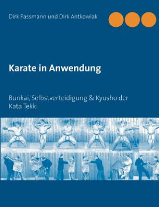 Книга Karate in Anwendung Dirk Passmann