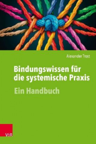 Kniha Bindungswissen für die systemische Praxis Alexander Trost