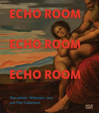 Könyv Echo Room Karen Benedicte