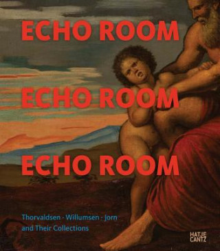 Buch Echo Room Karen Benedicte