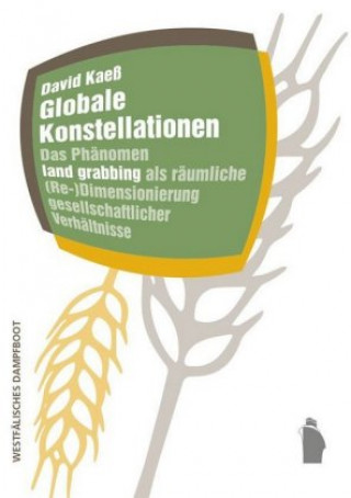 Könyv Globale Konstellationen David Kaeß