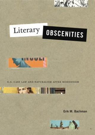 Kniha Literary Obscenities Erik M. Bachman