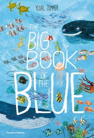 Könyv The Big Book of the Blue Yuval Zommer