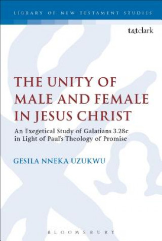 Kniha Unity of Male and Female in Jesus Christ NNEKA UZUKWU GESILA