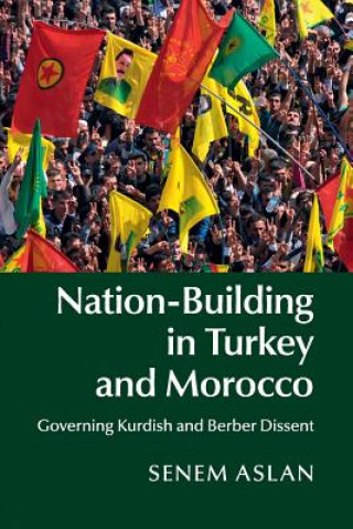 Kniha Nation-Building in Turkey and Morocco Aslan