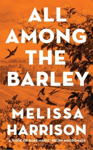 Kniha All Among the Barley Melissa Harrison