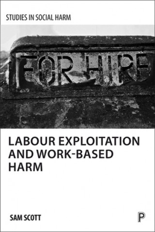 Kniha Labour exploitation and work-based harm Sam Scott