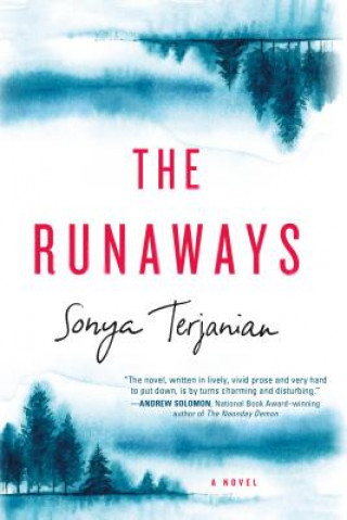 Kniha Runaways Sonya Terjanian
