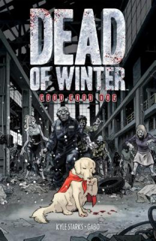Kniha Dead of Winter KYLE STARKS