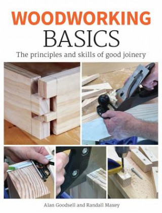 Kniha Woodworking Basics Goodsell