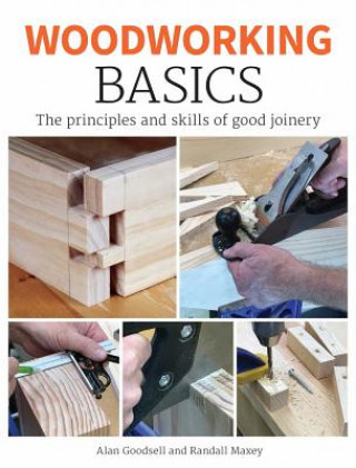 Książka Woodworking Basics Goodsell