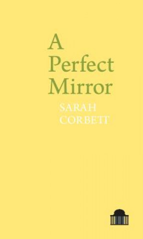 Boek Perfect Mirror Sarah Corbett