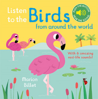 Kniha Listen to the Birds From Around the World Marion Billet