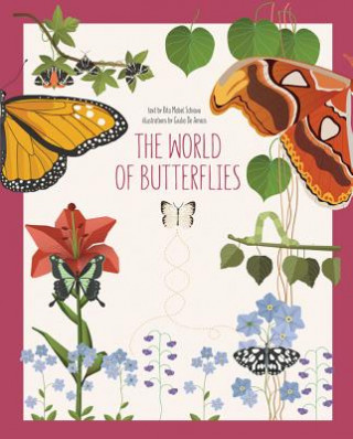 Book World of Butterflies Schiavo