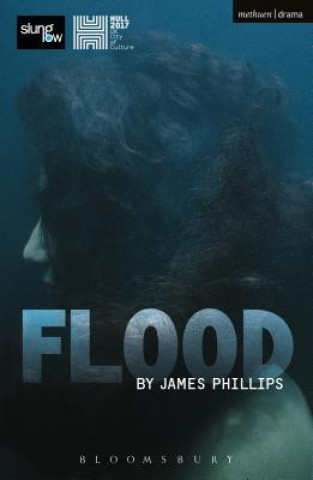 Kniha Flood James Phillips