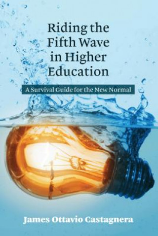 Livre Riding the Fifth Wave in Higher Education James Ottavio Castagnera